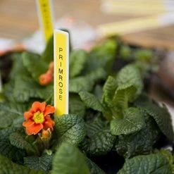 Brother P-Touch D210 Beschriftungsgerät -Fellowes Geschäft 50b6db28 a377 4946 ba18 814932cb2958